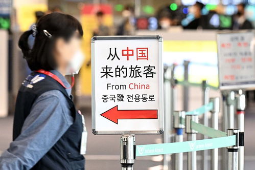 出境游恢复后,第一站你想去哪 多国欢迎中国游客 回归